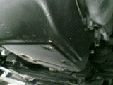 image/ansanbull-2006-06-11T20:42:25-1.jpg