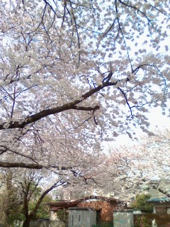 110410_0758~02.jpg