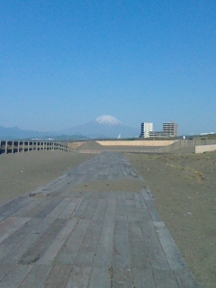 110515_0719~01.jpg