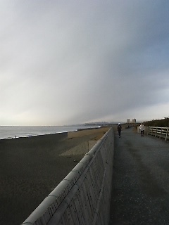 120114_0831~01.jpg