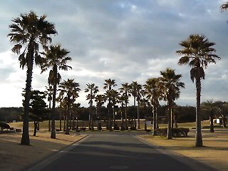 111231_0812~010001.jpg