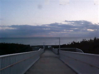 120129_1706~010001.jpg